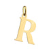 Pandantiv Aur 14K cu Litera R, 24x15 mm