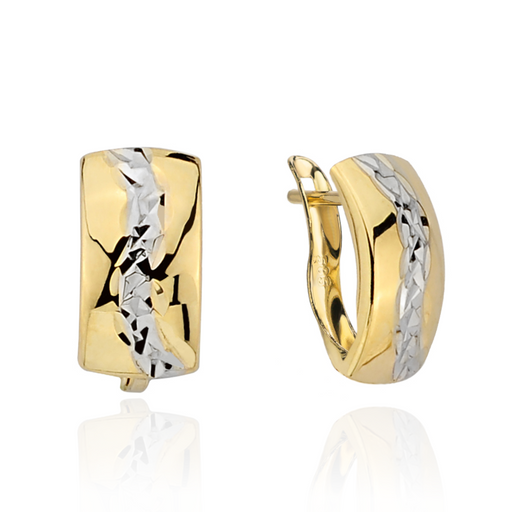 Cercei Aur 14k cu Model Neted