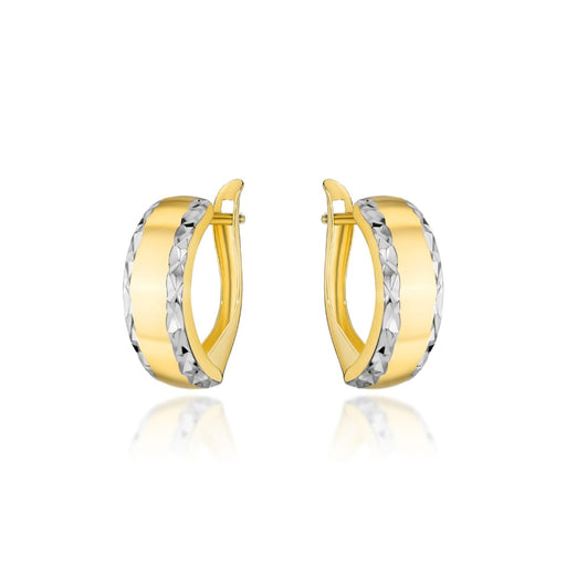 Cercei Aur 14k cu Creole si Model Neted