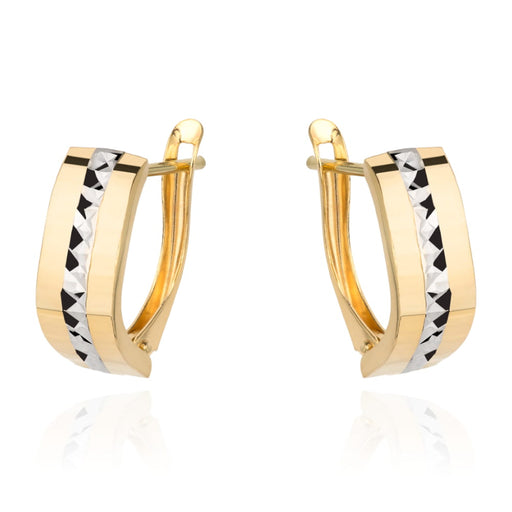 Cercei Aur 14k cu Model