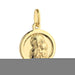Medalion Aur 14k cu Fecioara Maria si Iisus Hristos
