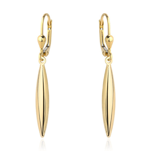 Cercei Aur 14k cu Model Alungit