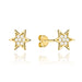 Cercei din Aur 14k cu Zirconiu - Stea
