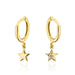 Cercei Aur Rotunzi cu Steluță Diamantată Unilateral