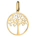 Pandantiv Aur 14K Copacul Vieții În Cerc