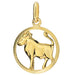 Pandantiv Aur 14K cu Semnul Zodiacal Taur
