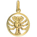 Pandantiv Aur 14K Semn Zodiacal Rac