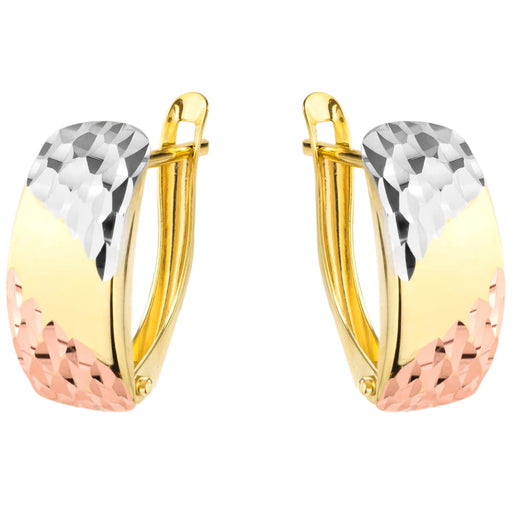 Cercei din Aur 14K cu Model