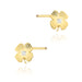 Cercei Aur 14K cu Diamante Naturale 0.01 ct Filet cu Protectie