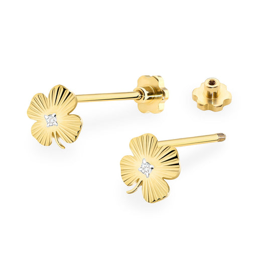 Cercei Aur 14K cu Diamante Naturale 0.01 ct Filet cu Protectie