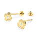 Cercei Aur 14K cu Diamante Naturale 0.01 ct Filet cu Protectie