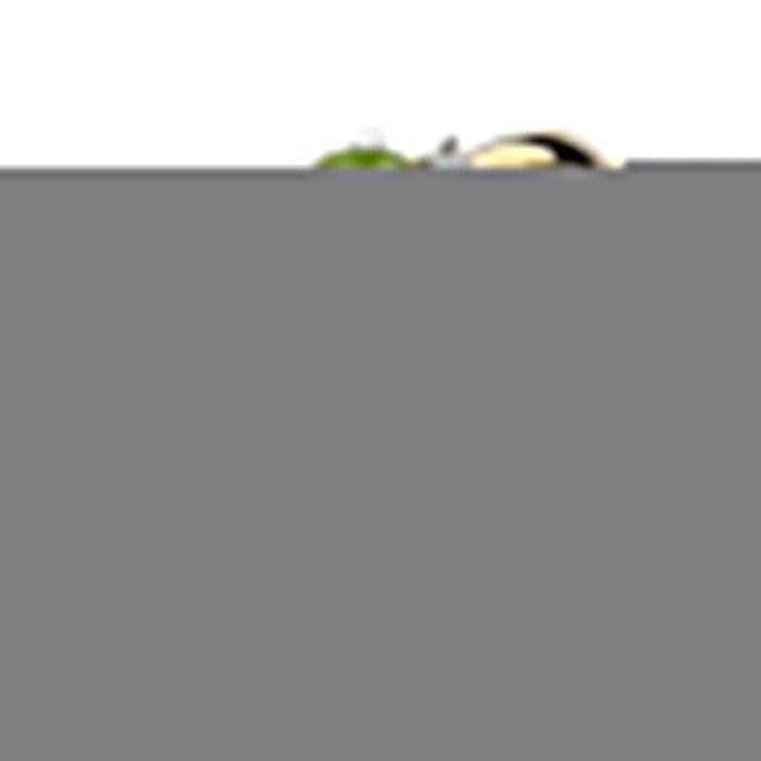 Inel Aur 14K cu Peridot 0.60 ct si Diamante 0.03 ct - Galben