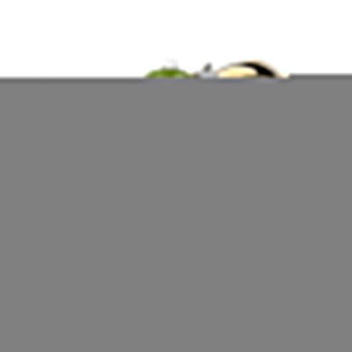 Inel Aur 14K cu Peridot 0.60 ct si Diamante 0.03 ct - Galben