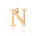 Pandantiv aur 14 K cu diamant 0.005 ct litera N 10x10 mm