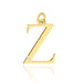 Pandantiv aur 14 K cu Diamant Natural 0.005 ct litera Z 20x15 mm